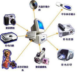 計(jì)算機(jī)輸出設(shè)備詳解 從軟硬件批發(fā)視角看行業(yè)選擇